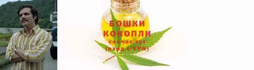 Бошки марихуана Amnesia  где можно купить   Железноводск 